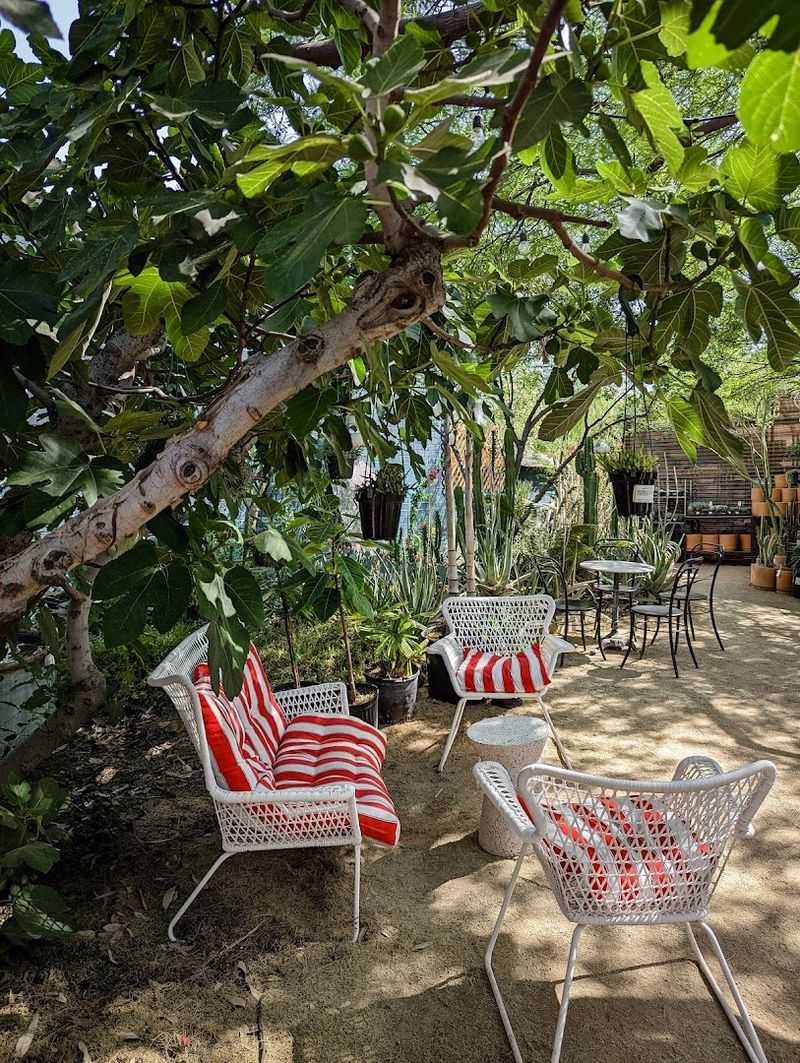 A Secret Garden You Actually Get To Sit In