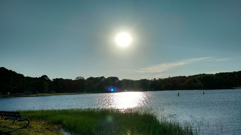 A Refreshing Swim Spot