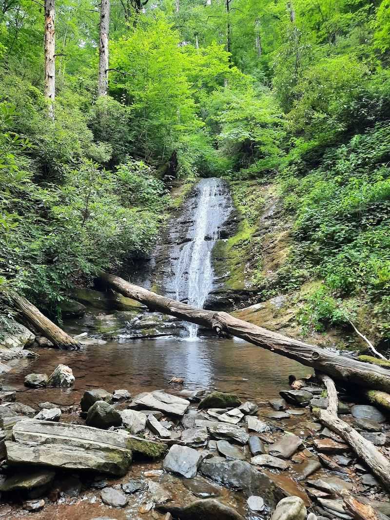 The Secret Gem You Did Not Know You Needed