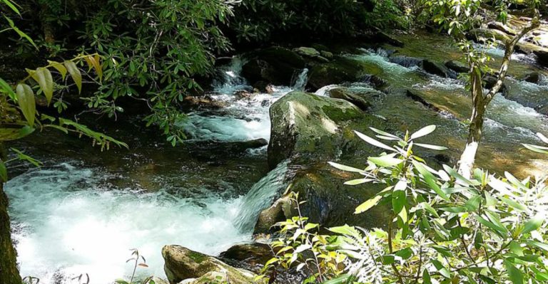 A Secret North Carolina Campsite With A Stunning Swim-Perfect Waterfall