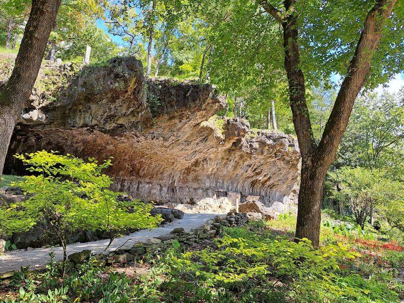 The Quiet Walk Where Wildflowers And Moss Line The Way