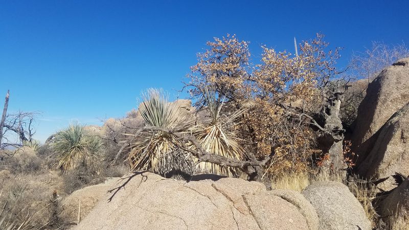 A Self-Guided Lesson in Rocks
