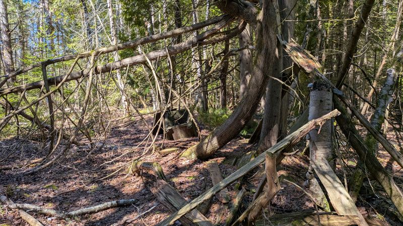 Textures Of Abandonment