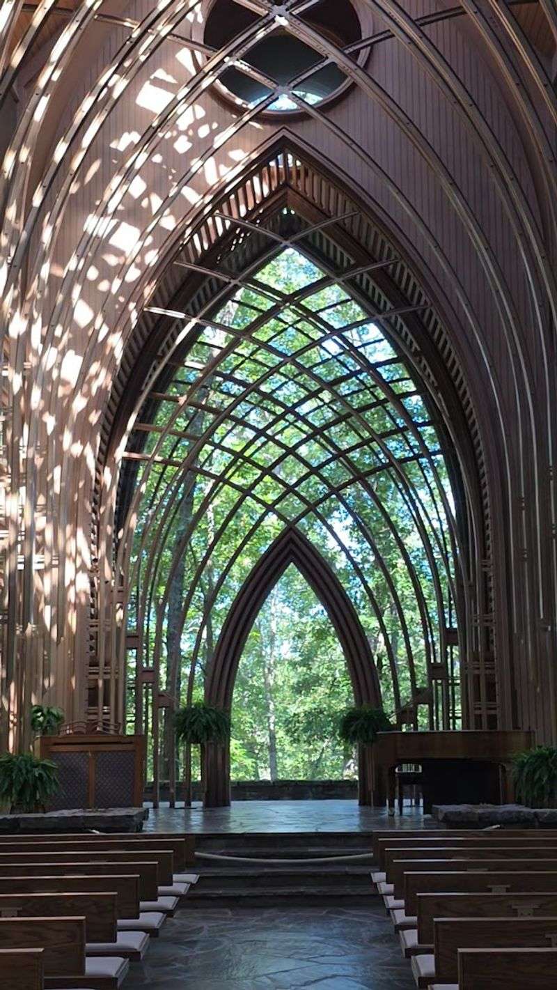 Nature Framing Every View