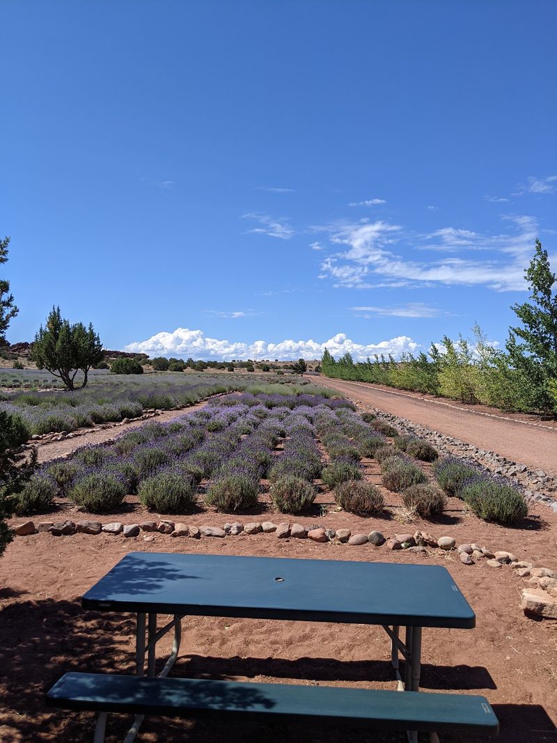 A Setting Made for Photos and Special Days