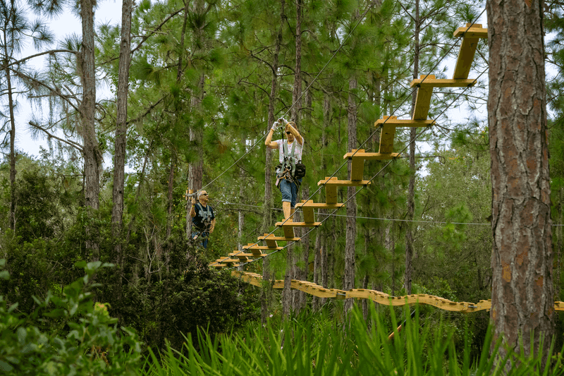 A Setting That Feels Like A Canopy Kingdom