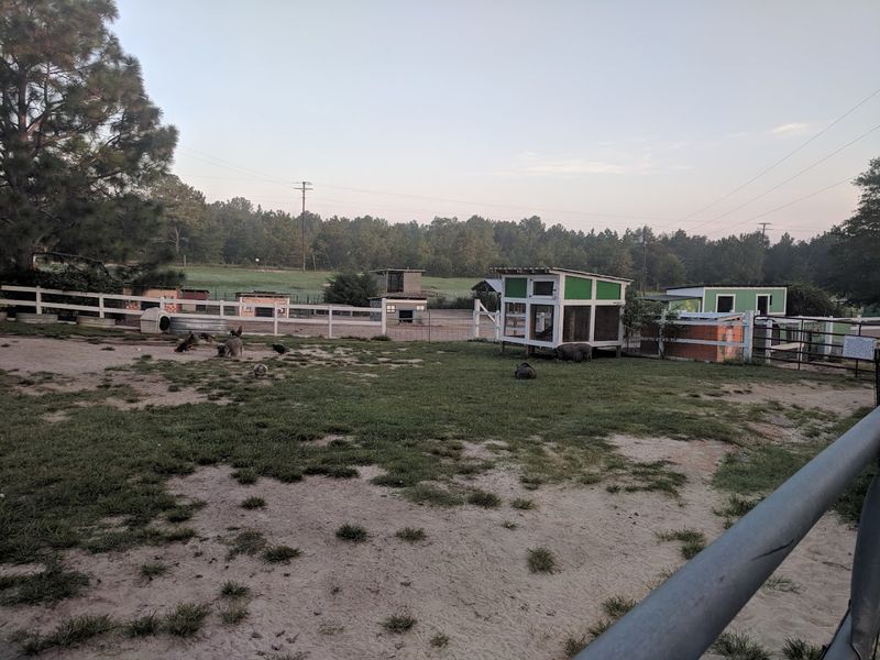 A Setting That Feels Like A True Rural Escape A Setting That Feels Like A True Rural Escape