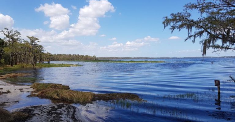 A Shaded Sandy Lake Beach In Florida Gives Families Everything The Coast Offers Without The Crowds