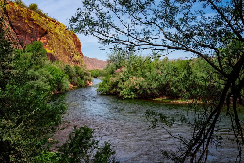 A Shady Riverbank At The End Of The Road