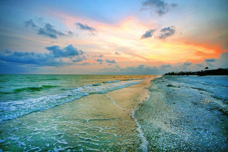 A Shell Collector's Best Kept Secret A Shell Collector's Best Kept Secret