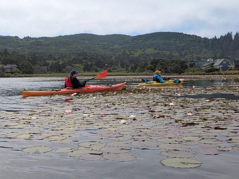Kayaking And Paddleboarding The Bay's Calm Waters
