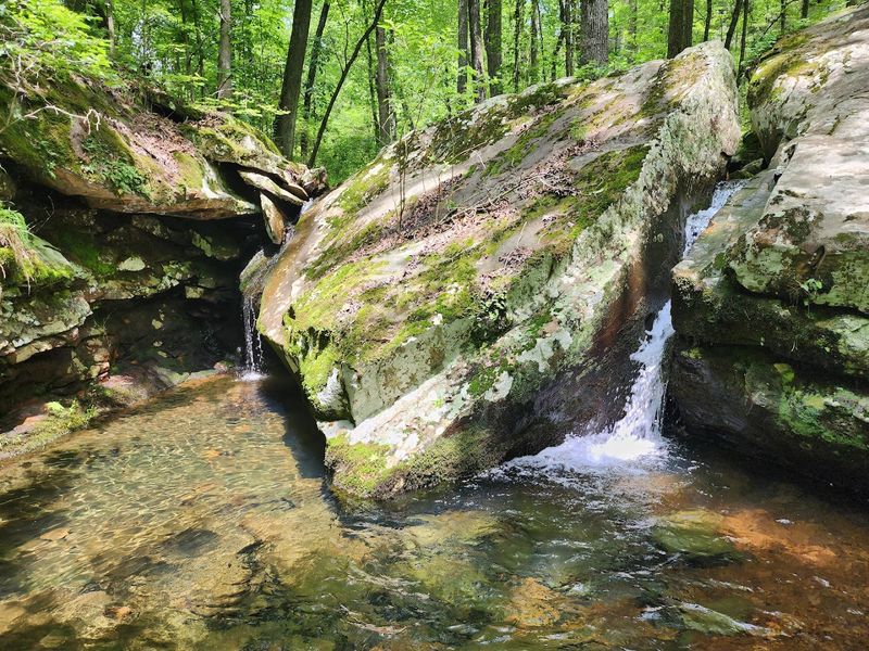A Cool Hollow Where Shadows Preserve The Past
