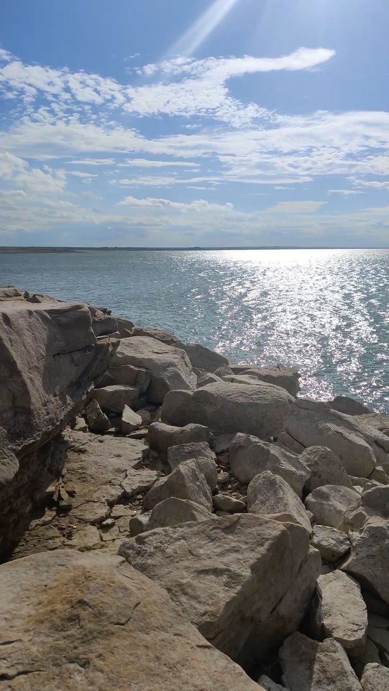 A Shoreline Buzzing With Wild Neighbors