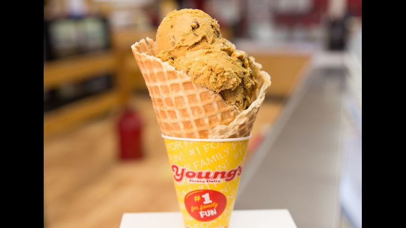 A Short Drive To Young's Jersey Dairy