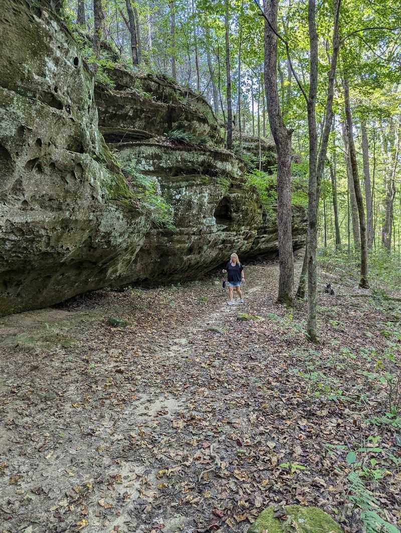 A Short, Family-Friendly Hike