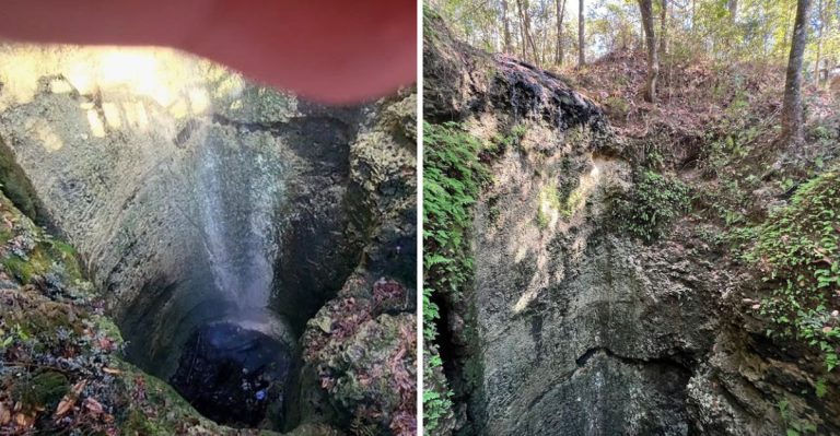 A Short Florida Trail Leads Straight To The State’s Tallest Waterfall
