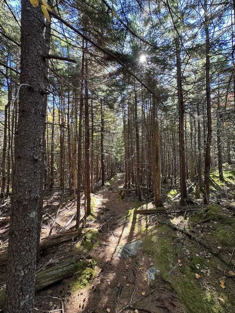 A Short Hike With A Serious Climb