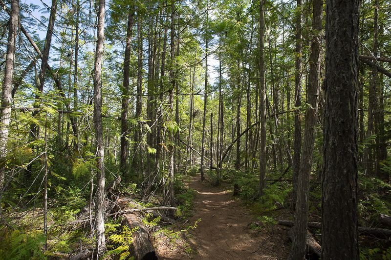 A Short Stroll Into Canada