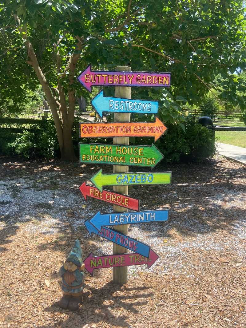 Best Time To Wander And What To Bring