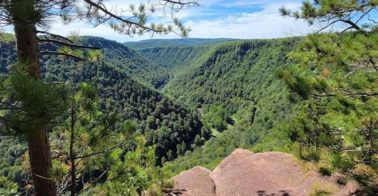 This Pennsylvania Short Trail Leads To One Of The Most Breathtaking Views Of The Grand Canyon Of Pennsylvania