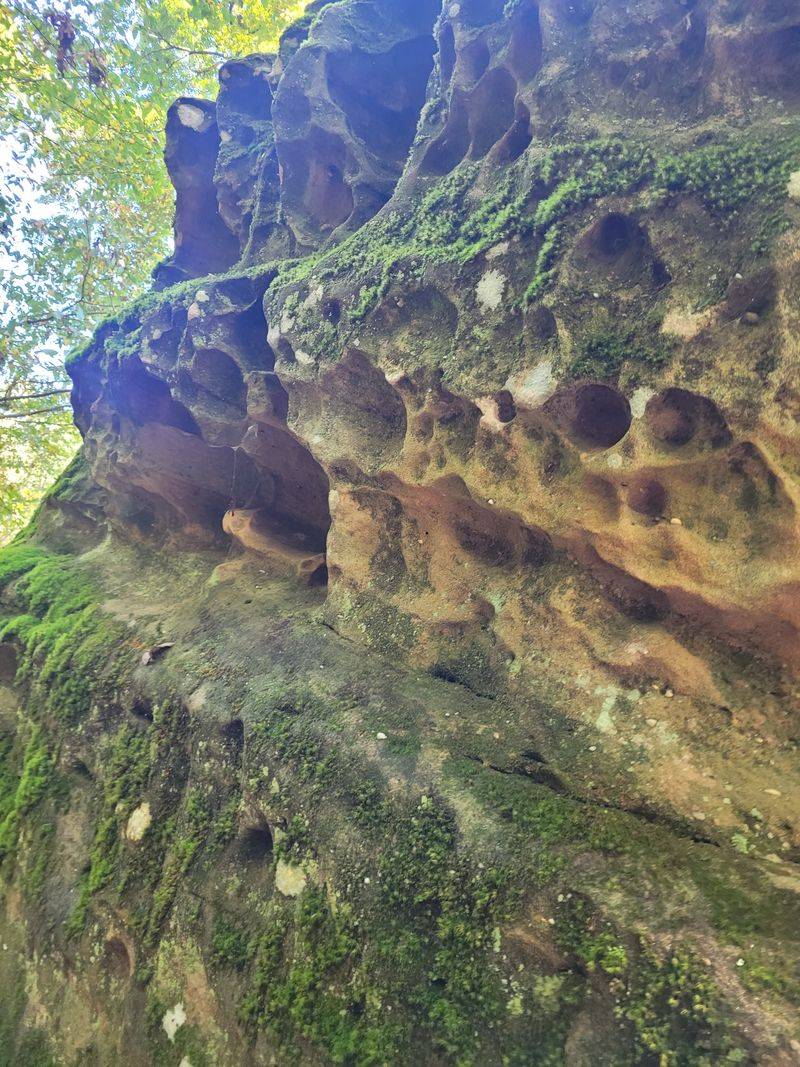 Stories In The Stone