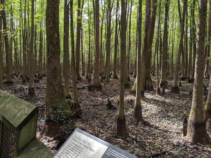 An Elevated Path Designed So Everyone Can Explore