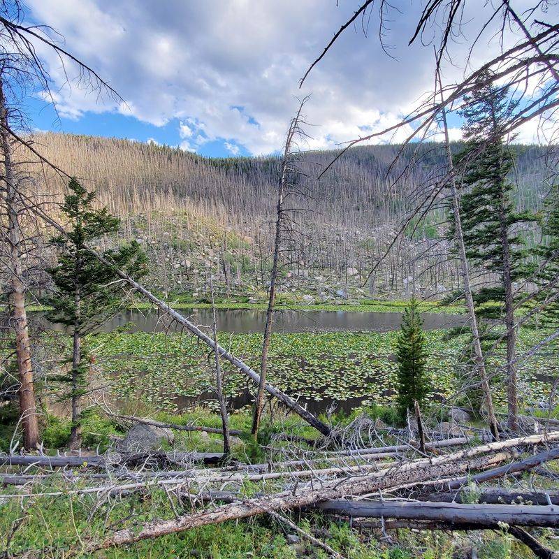 A Simple Saturday Detour From Estes Park