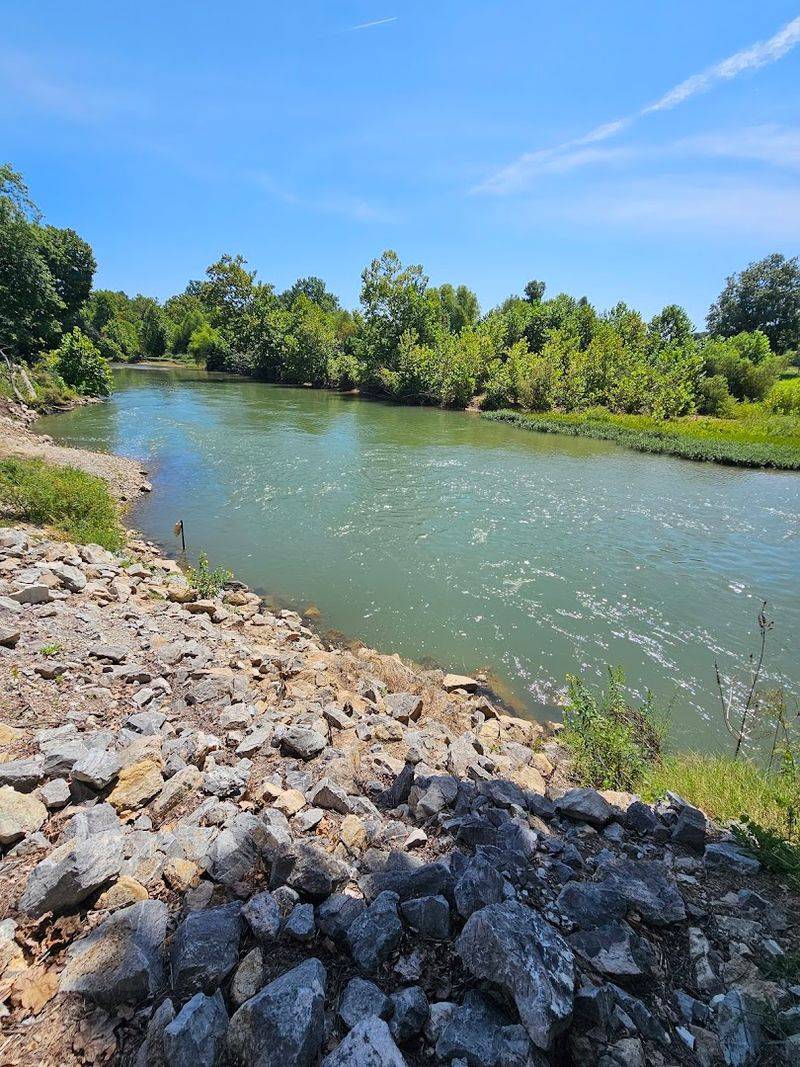 A Slow River Bend Into The Trees