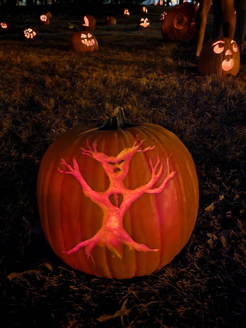 A Small Army Of Volunteers Carves The Magic A Small Army Of Volunteers Carves The Magic