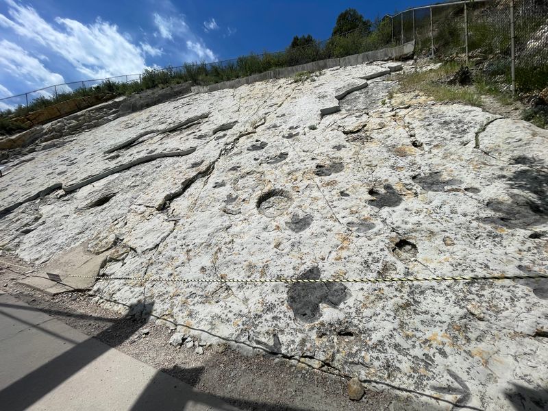 Red Rocks Trail and Dinosaur Ridge