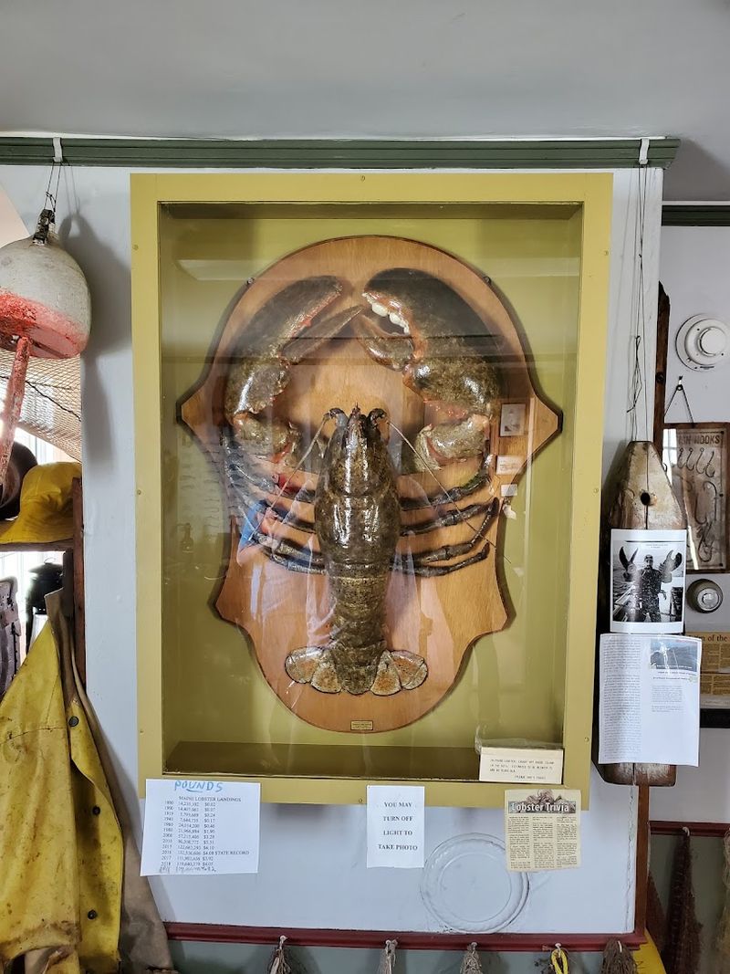 A Small Museum With Big Stories