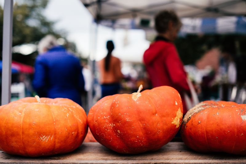 A Small Pumpkin For Small Hands