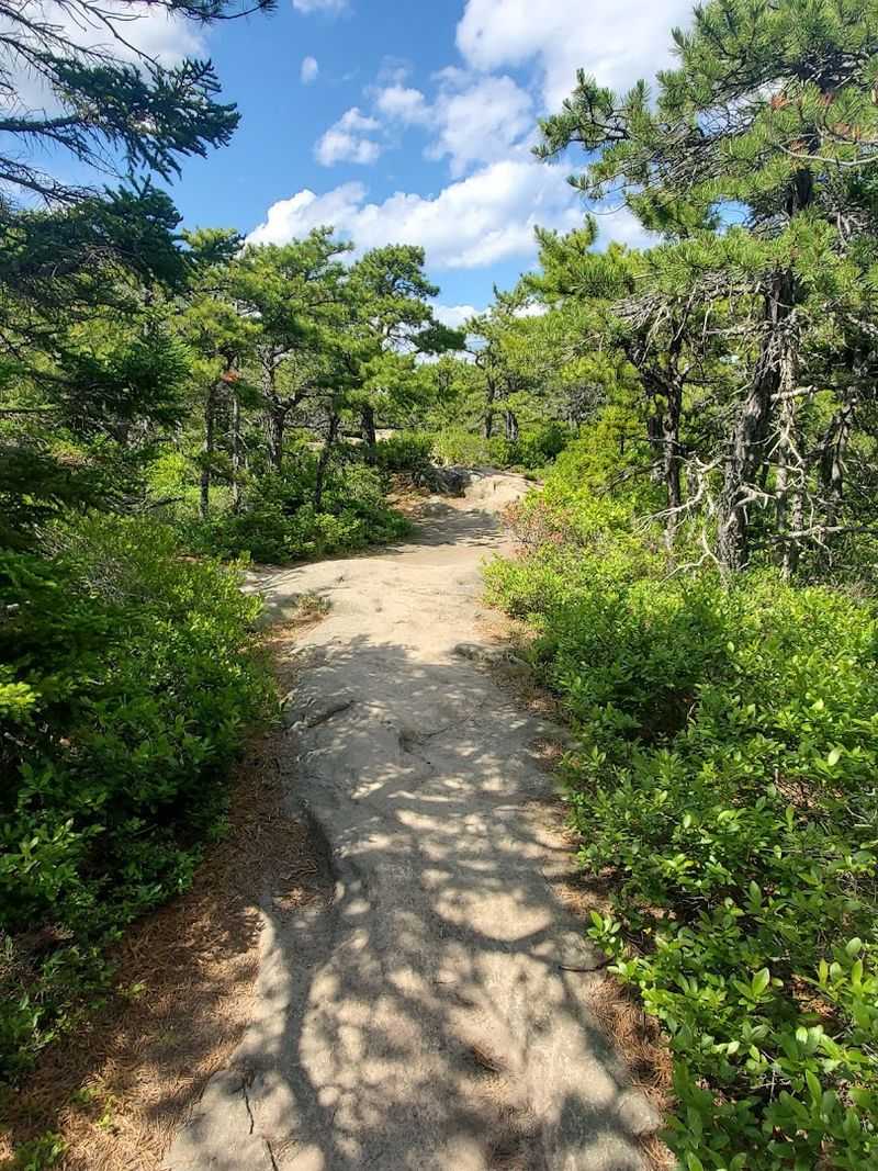 A Smarter Way To Reach The Trail