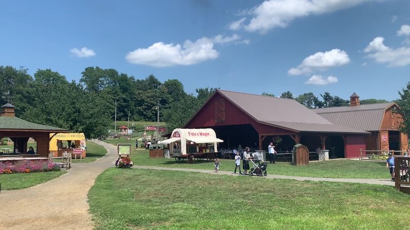 A Snack Stand And Maze Guides Right In The Middle Of Corn