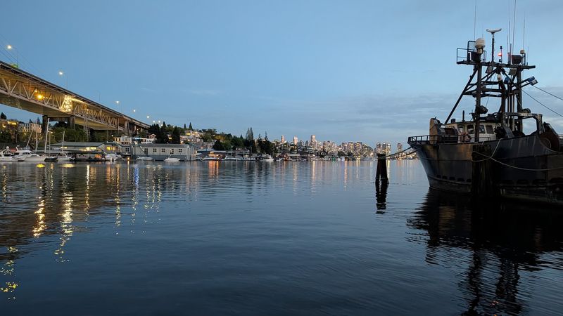 A Soft Verdict From the Lakeshore