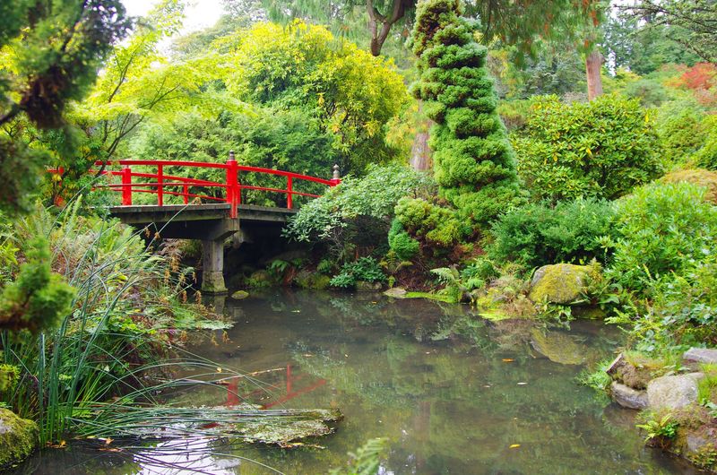 A Soft Verdict On Kubota Garden