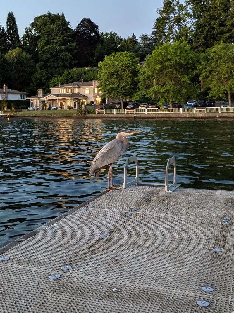 A Soft Verdict on Kirkland Living