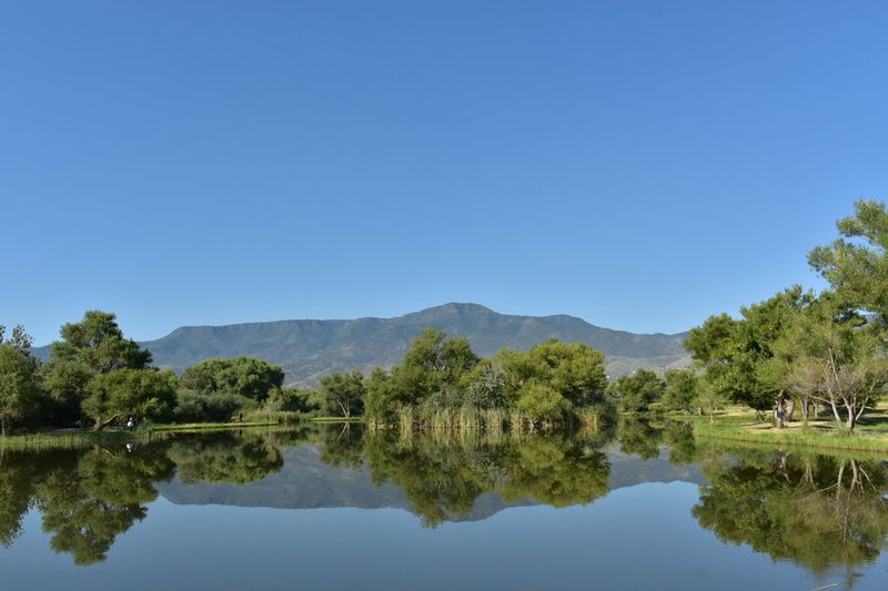 A Soft Verdict on River-Town Living