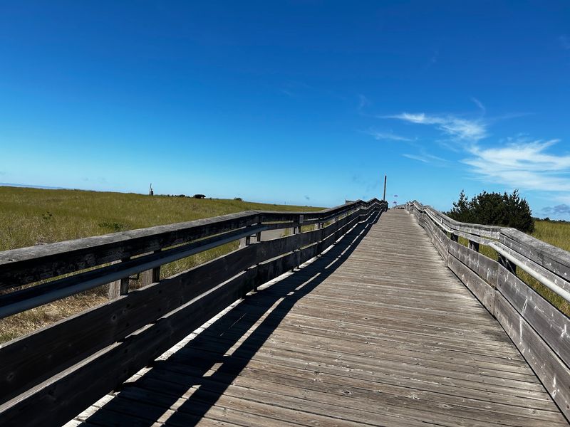 A Soft Verdict on an Easygoing Coastal Stroll