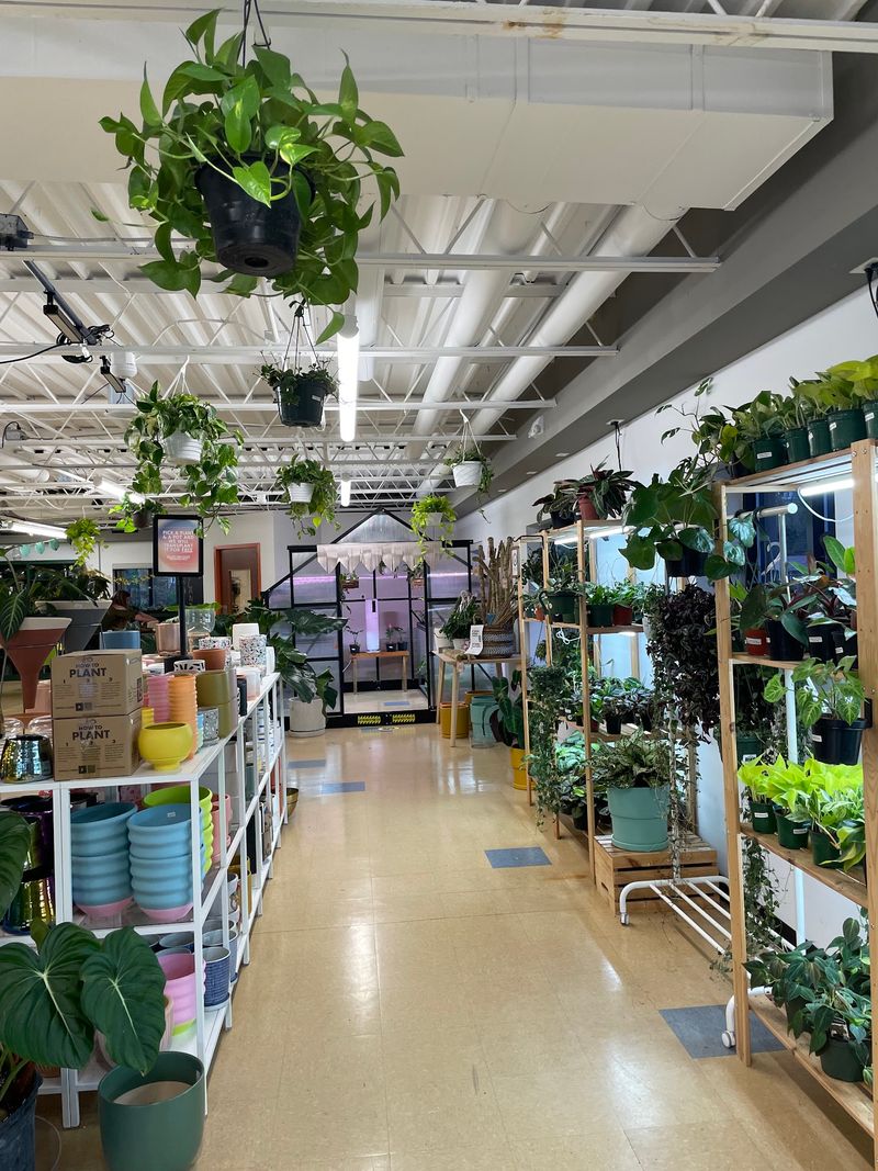 A Spacious, Bright And Clean Store