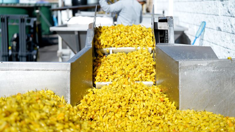 Perfect fFr Gifting, Snacking, And Showing Off