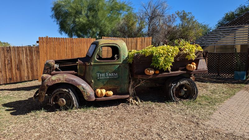 The Practical Stuff Worth Knowing Before You Go