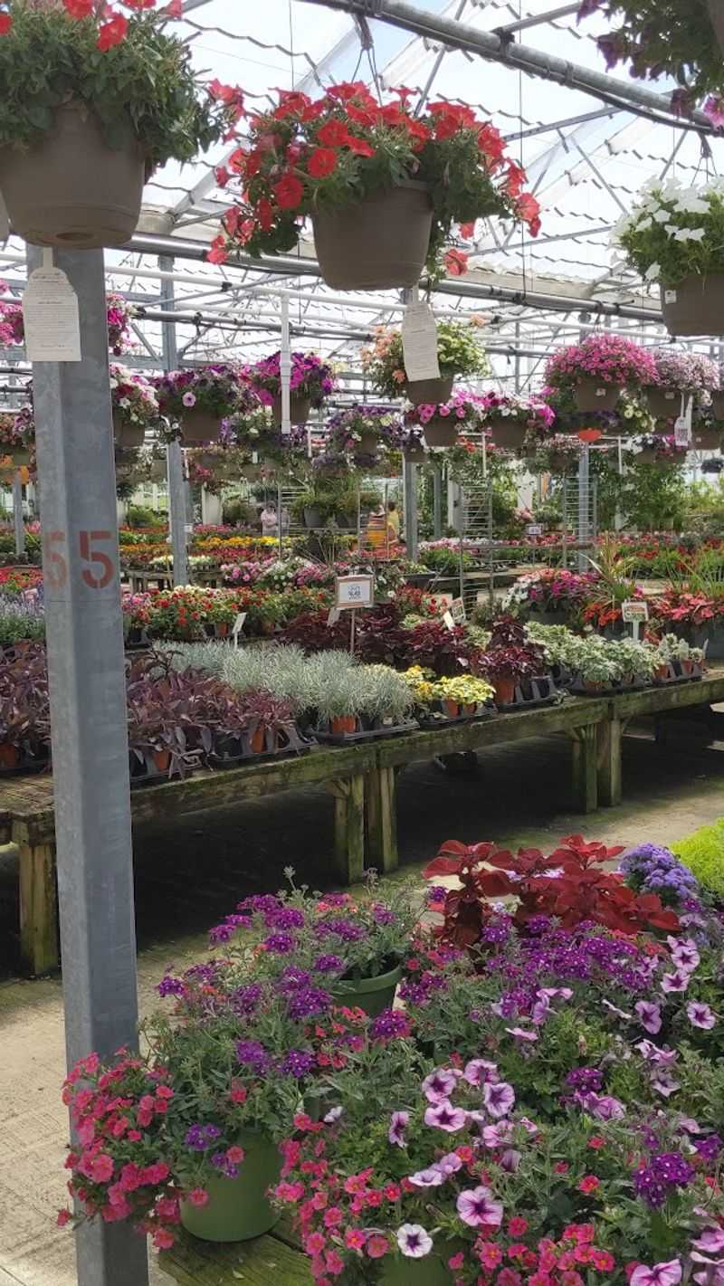 A Spot That Welcomes The Whole Family
