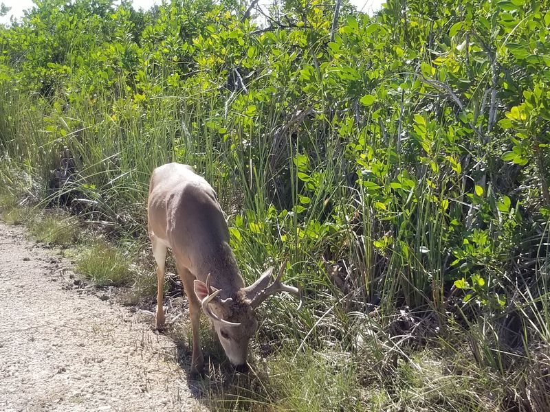 A Sprawling 9,200-Acre Wild Playground A Sprawling 9,200-Acre Wild Playground