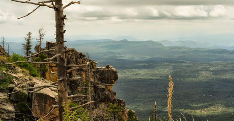 A Spring Trip To This Arizona Overlook Will Leave You Speechless