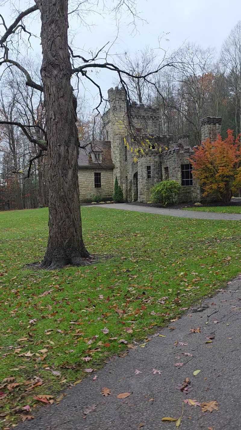 Best Times To Visit For Different Experiences