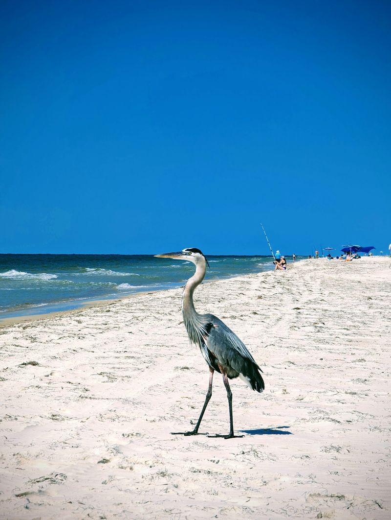 A State Park Packed With Nature
