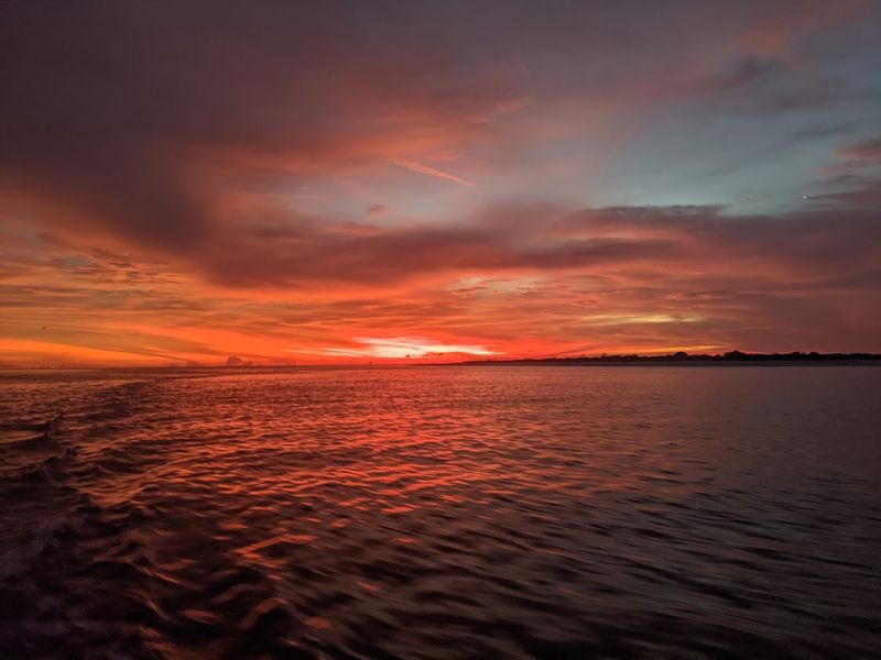 Kayaking Through The Mangrove Trail