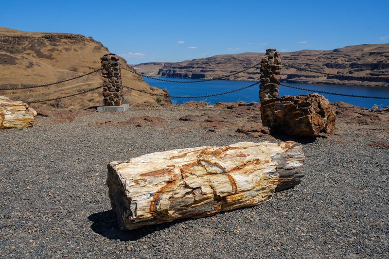 A Stone Forest Right Off I-90 In Vantage A Stone Forest Right Off I-90 In Vantage