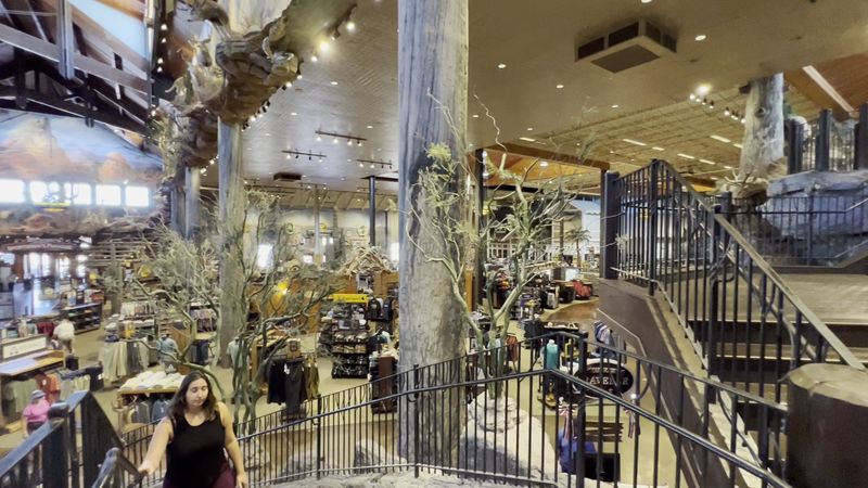 A Store That Feels Like A National Park A Store That Feels Like A National Park